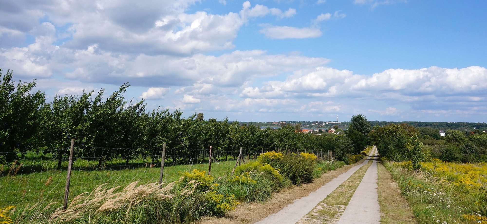 Wirtschaftsweg in Tal