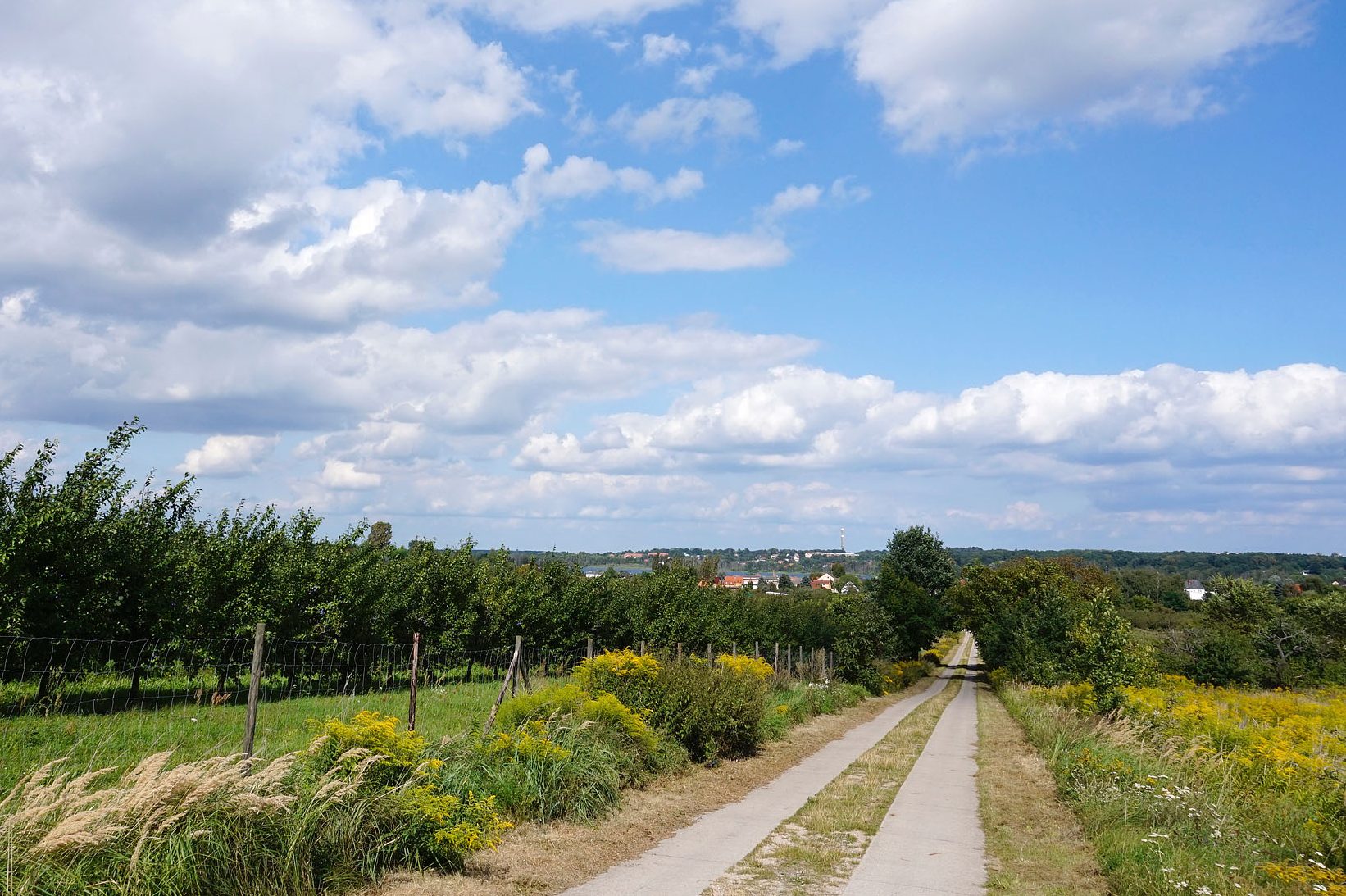 Wirtschaftsweg in Tal